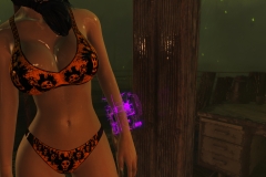 Fallout4 2017-01-24 20-48-43-959
