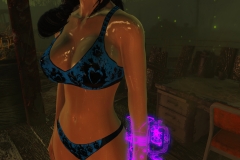 Fallout4 2017-01-24 20-53-27-519